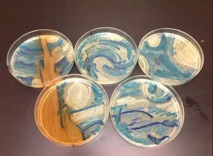 这幅梵高的《星空》复刻图竟是用细菌画的?连细菌都来搞艺术了