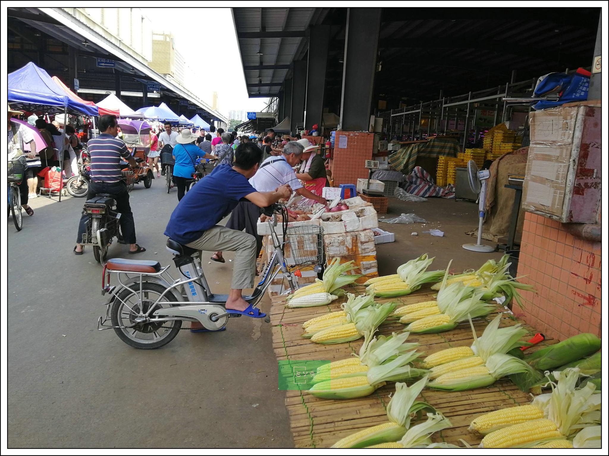 中国一座让异乡人误会深的一线城市逛菜市场看价格惊呆了
