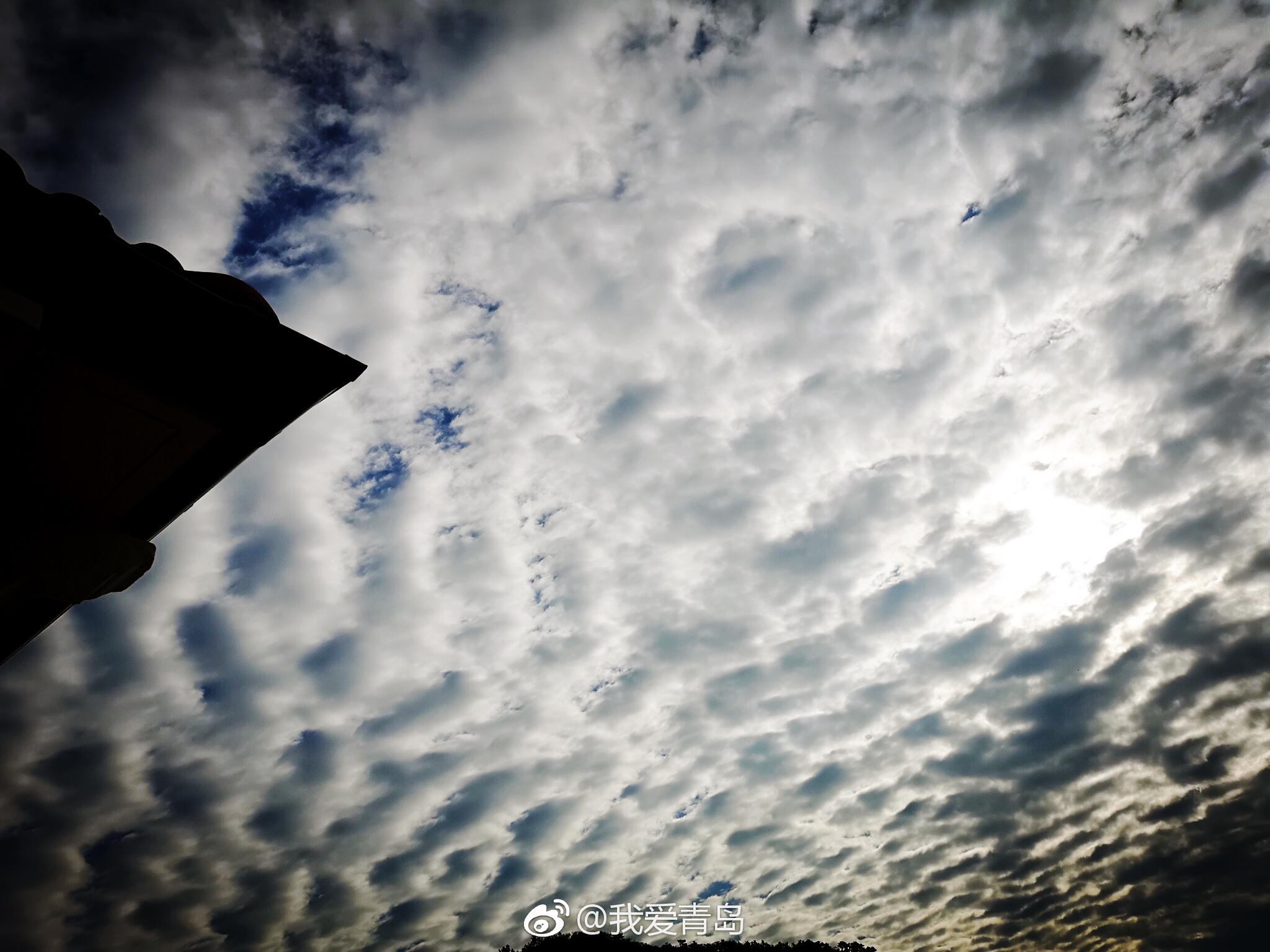 岛城出现美炸天的"鱼鳞云" 你们知道预示什么吗
