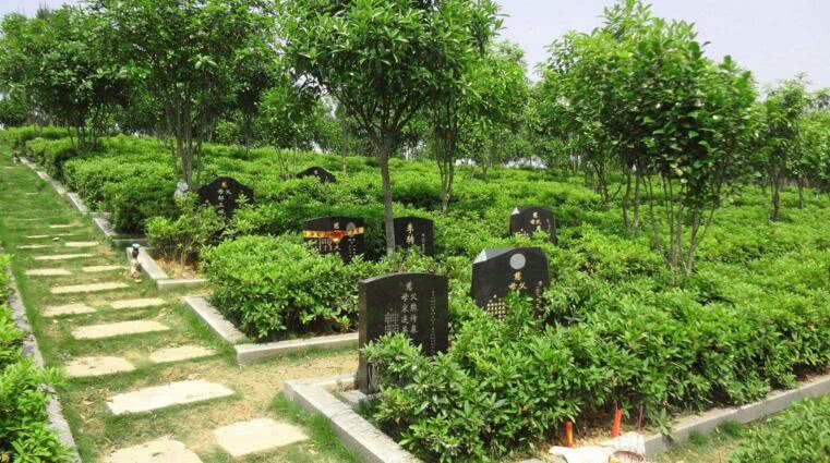 公墓明明没人却传出哭声,男子吓得不敢扫墓