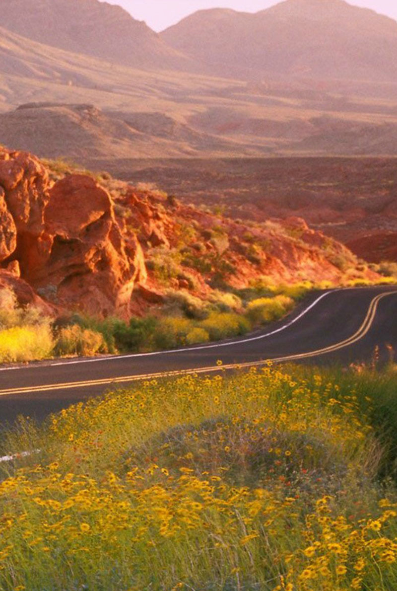 靓丽美国内华达州风景手机壁纸一览放在您手机桌面上特美取走哈