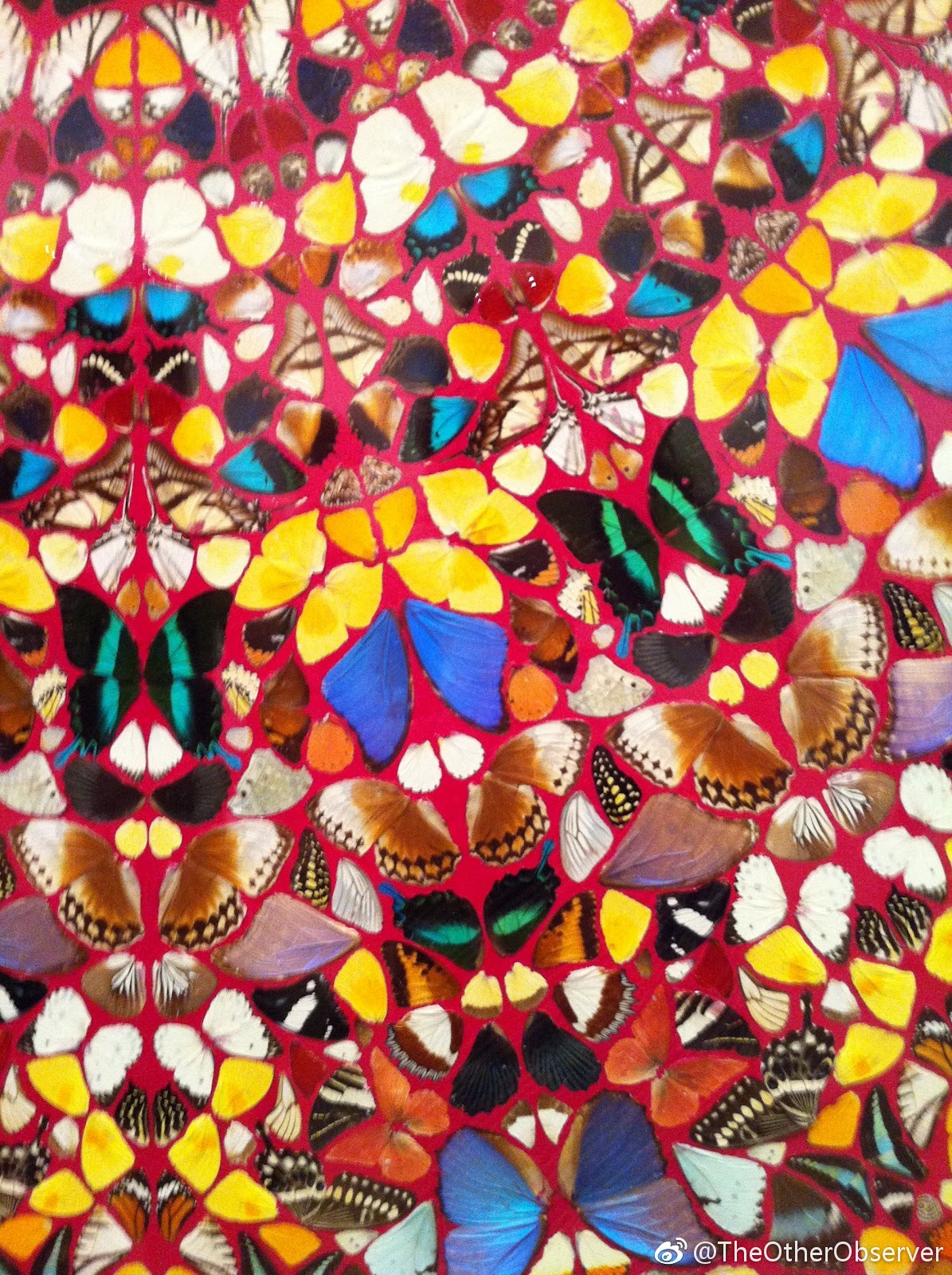 向死而生在雪中等待春天damien hirst 万花筒蝴蝶系列蝴蝶在