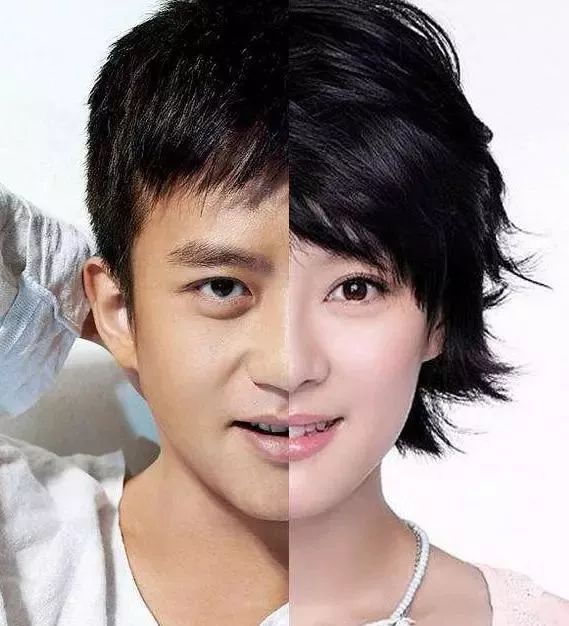 娱乐圈具有夫妻相的明星,你觉得那个更像|夫妻|明星|杨颖_新浪新闻
