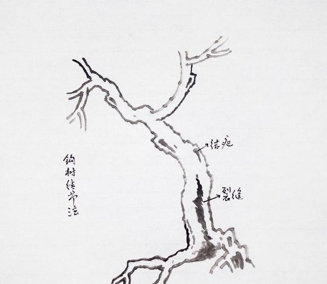 王玉池教授山水画基础技法教学讲义2山水画中树的画法1