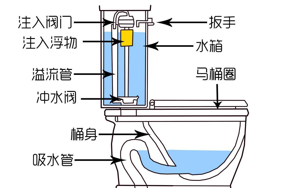 马桶上的冲水按钮你真的会正确使用吗