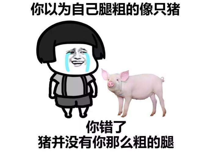 搞笑段子:我……我觉得这辈子我都不会扎丸子头了!