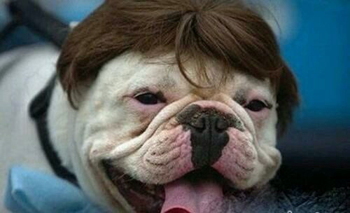 搞笑段子:今天我把补课班老师气哭了。