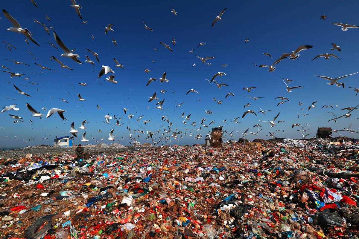 洋垃圾成西方国家心病这国却靠模仿中国找到了新出路