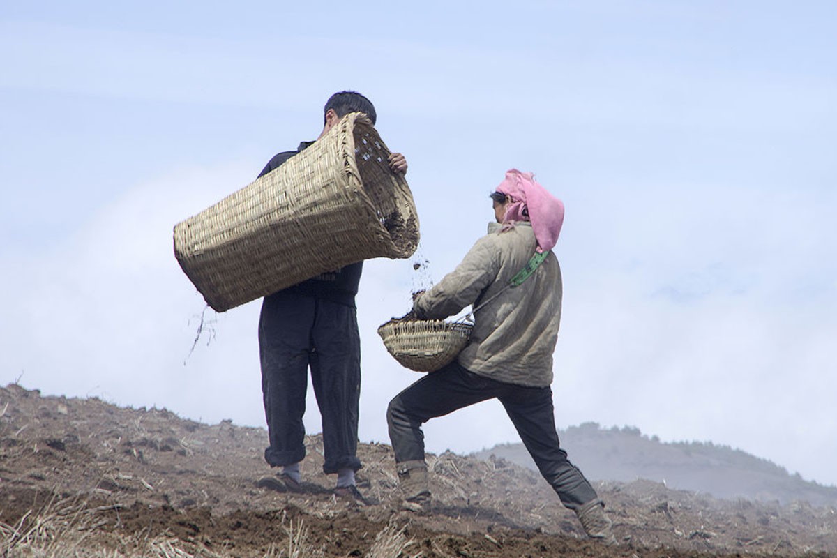 为什么娶个媳妇这么难? 难道农村小伙就这样打光棍一辈子吗?