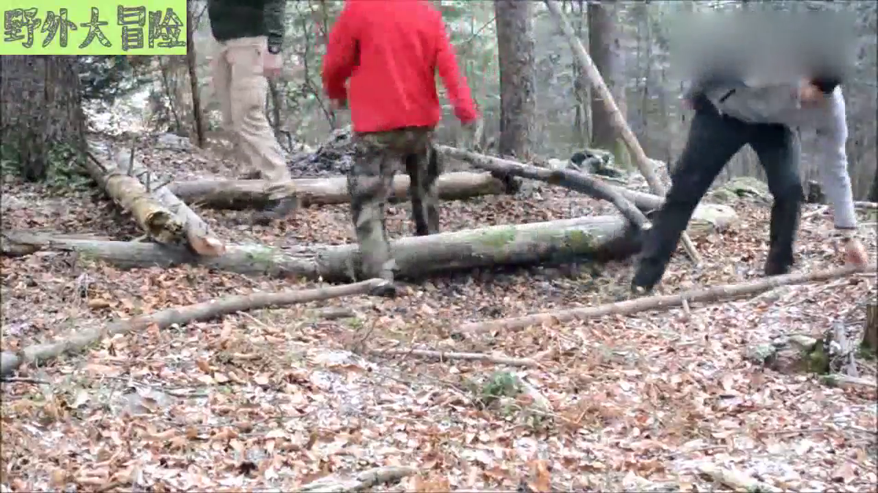 在野外如何搭建一所理想的庇护所