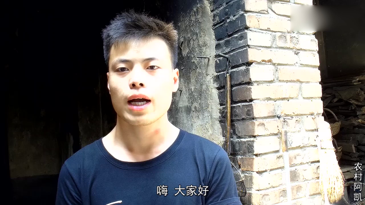 农村这种黑乎乎的东西,是胃病的克星,多年的老胃病用它治好了