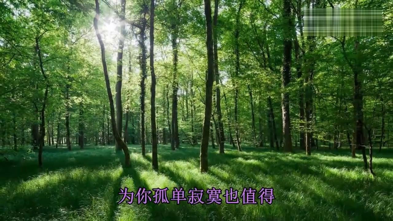 2017最伤感情歌听的人都设成手机铃声了太好