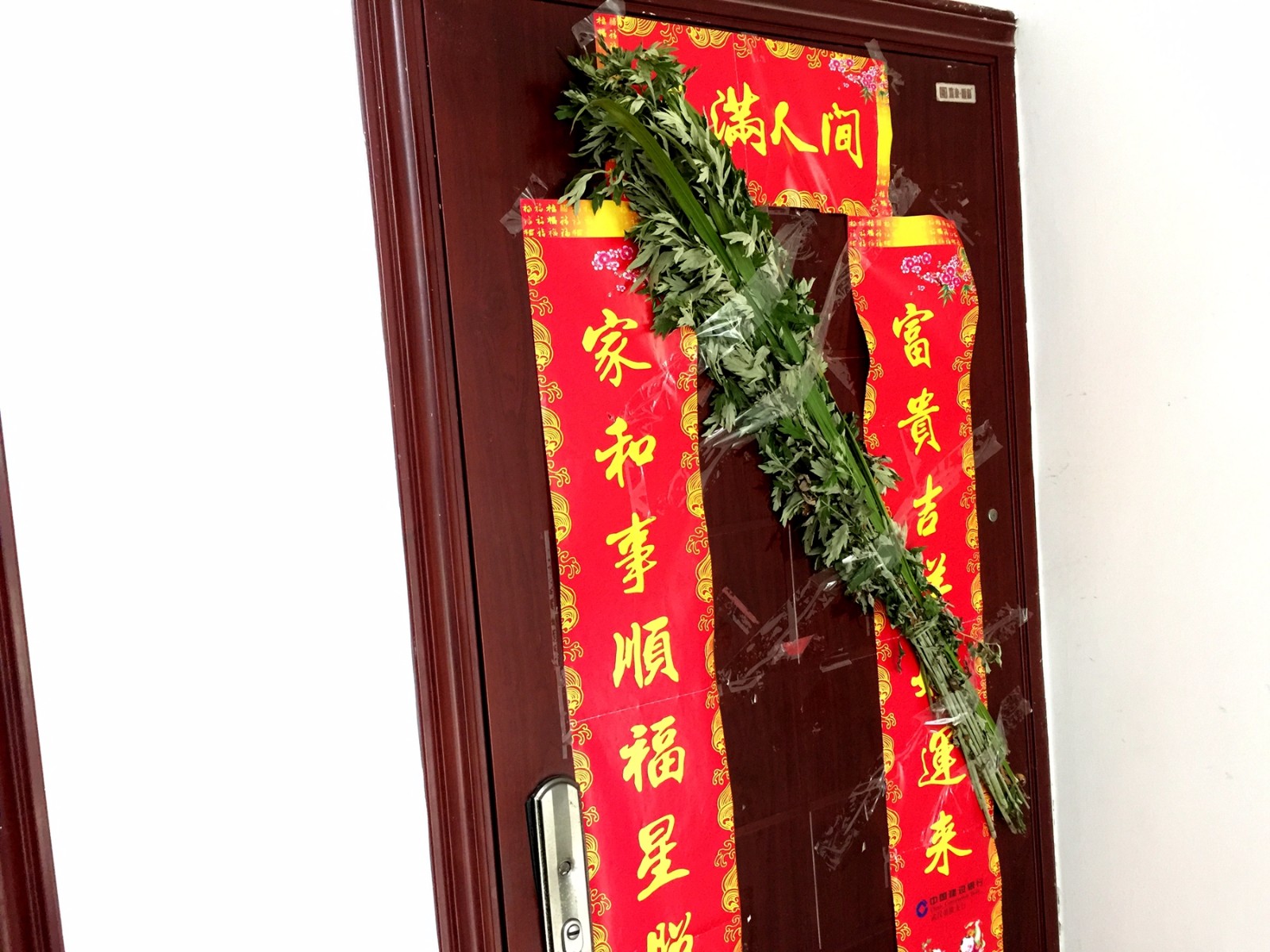 端午节最有意思的习俗除了吃粽子还有一种是在家里挂艾叶草