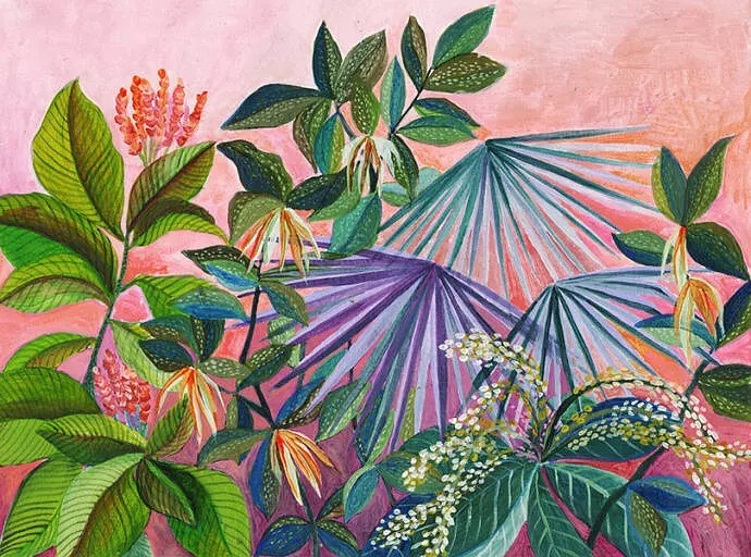 植物画来自阿根廷画家lauragarciaserventi的作品