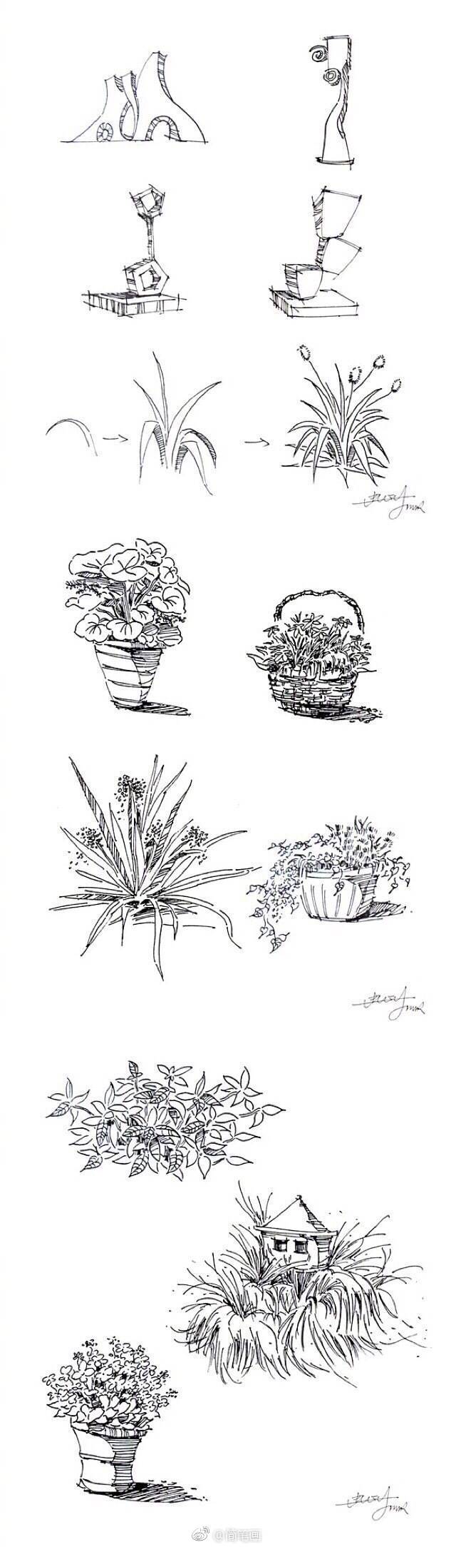 植物速写的20种手绘方法马住练习