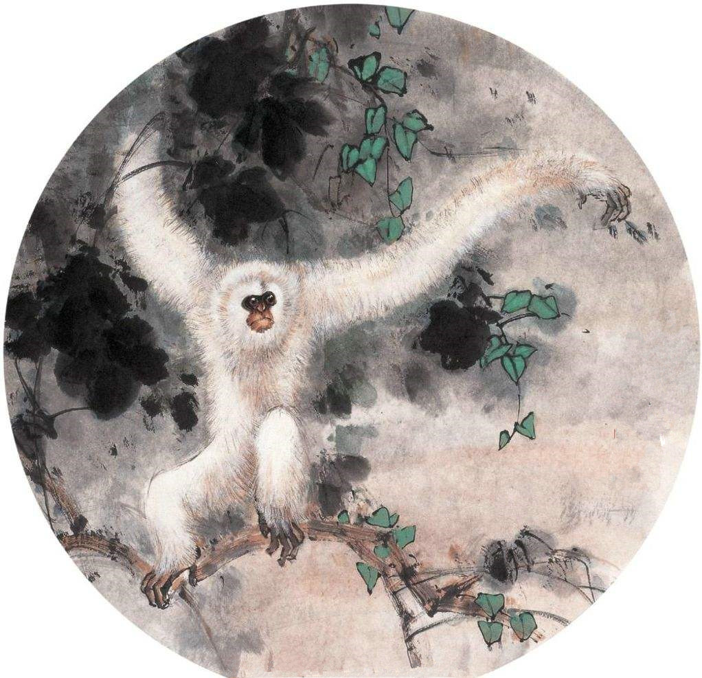 当时苍猿其实还活着,只是肚子里面放着九阳神功不舒服