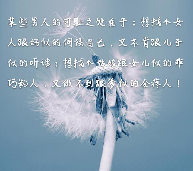 某些男人的可耻之处在于:想找个女人跟妈似的伺候自己,又不肯跟儿子似