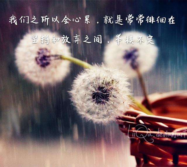 我们之所以会心累,就是常常徘徊在坚持和放弃之间,举