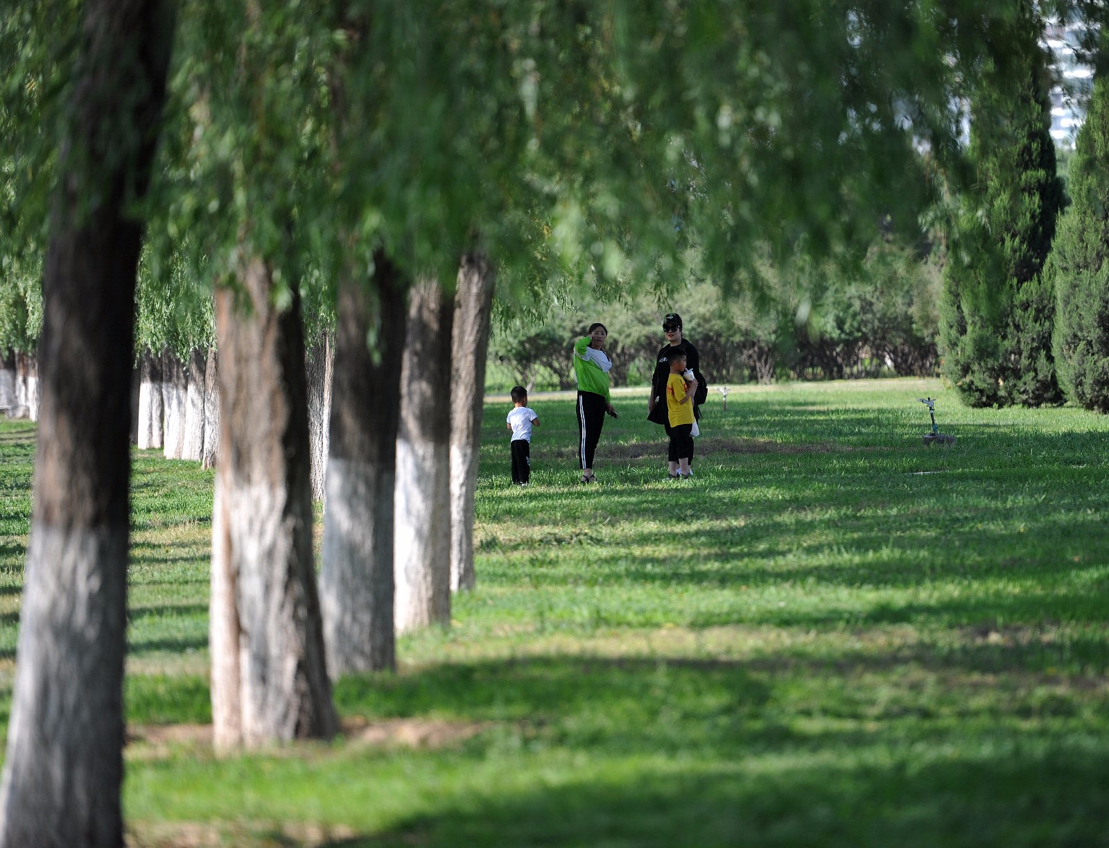 高温天气,人们选择在户外阴凉处避暑.