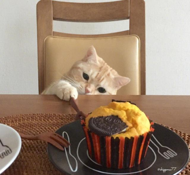 抖音上幽默搞笑的18个段子:句句有才,适合拿去