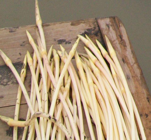 这种菜比肉还贵疏通血管保护肠胃20元一斤都抢着买