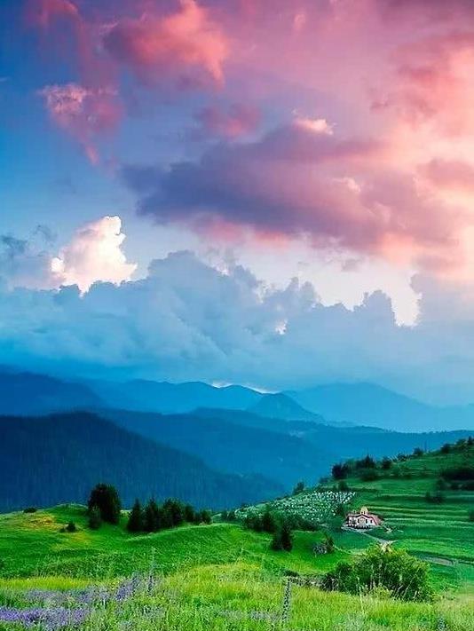 美图生活夏日最唯美的自然环境