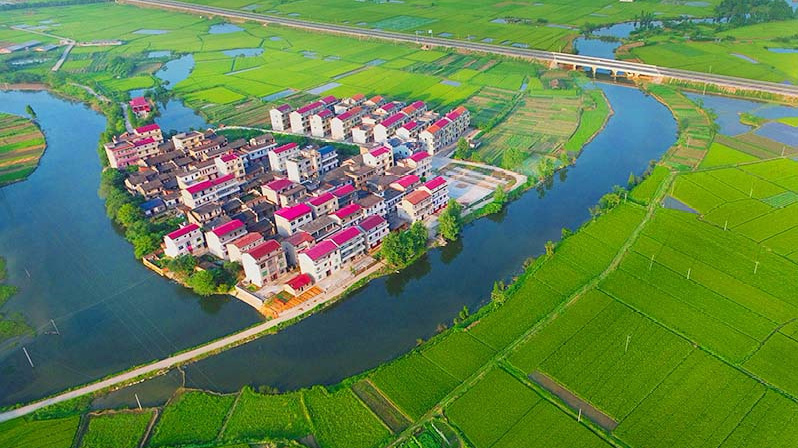 江西丰城这些村，美得不像话，外地姑娘争着嫁！|丰城|宜春|乡村|丰城市|飞歌_新浪新闻