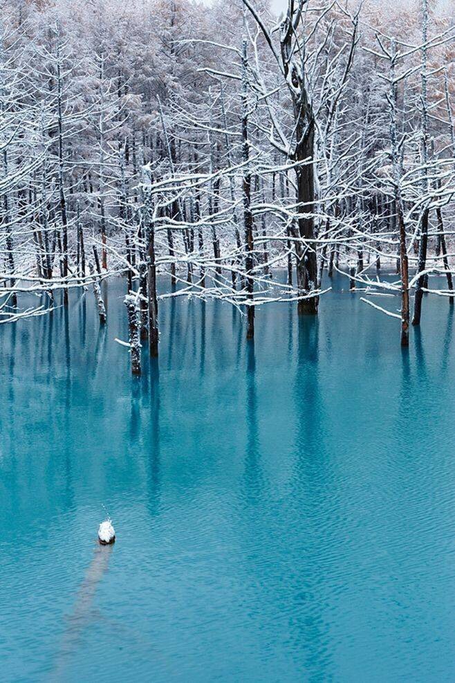 日本北海道的美瑛青池