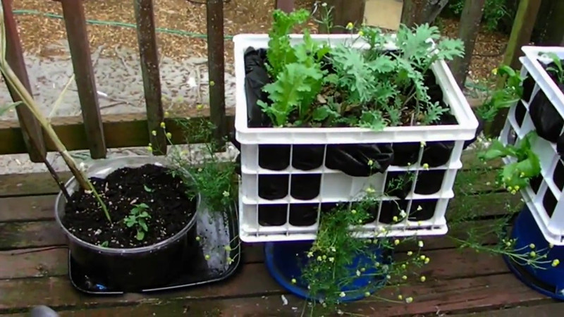 家里的水果塑料筐别再扔掉了,简单一招变废为宝,用途非常神奇