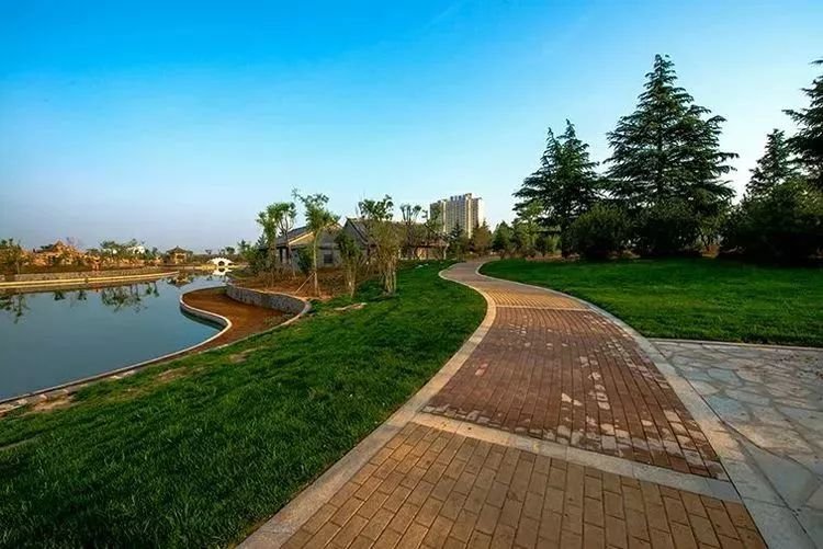 孟津最美公园盘点,这里是洛阳休闲玩耍的后花园