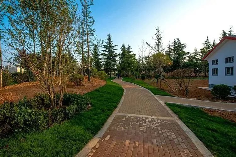 孟津最美公园盘点,这里是洛阳休闲玩耍的后花园