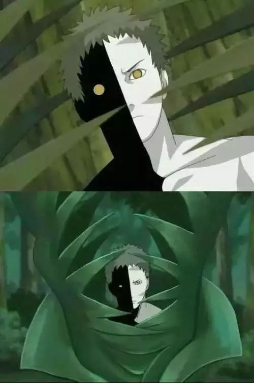 无论黑绝还是白绝都是人造物,并且个体战斗实力十分的弱.