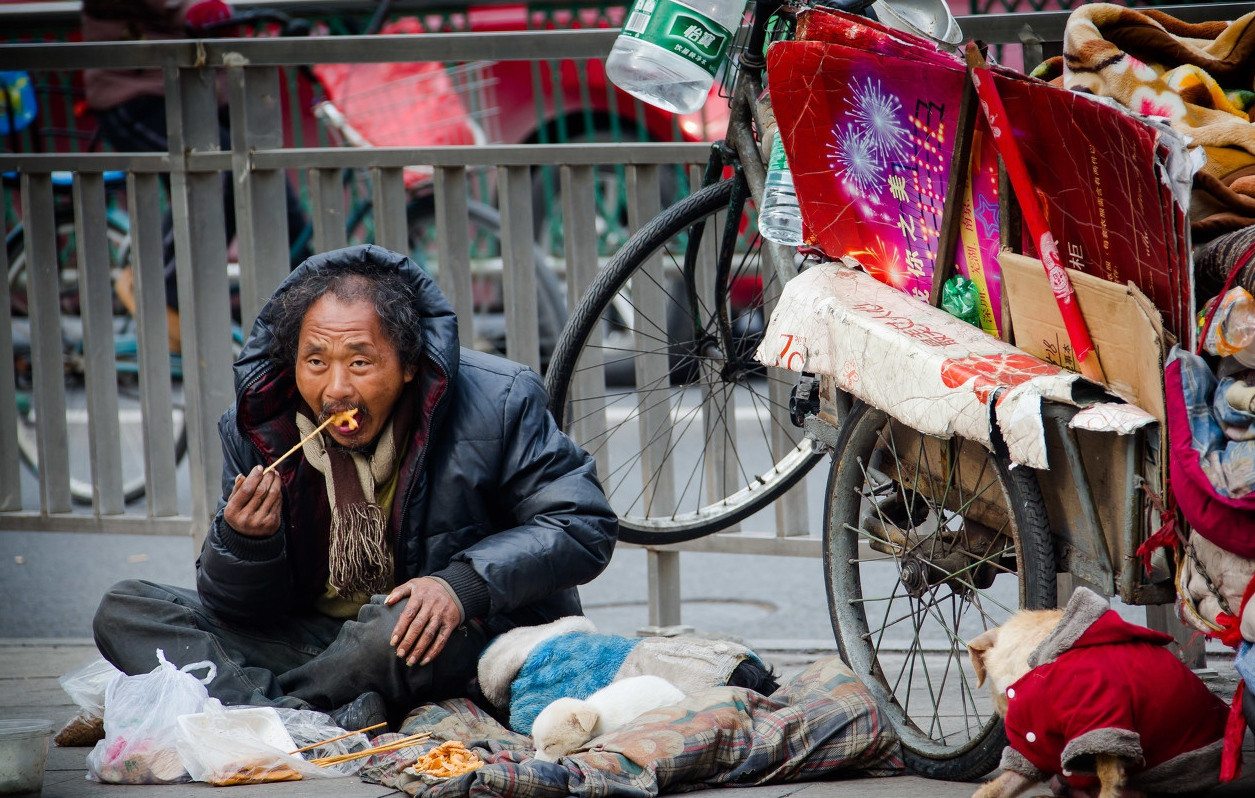 实拍乞讨者和他们的完美装备,谁能分辨出哪位是职业"丐帮"|流浪狗