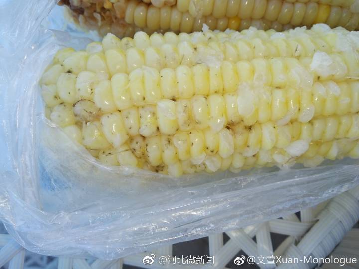 网友:石家庄杰明云顶野奢景区内,一处卖玉米的一锅多个发霉玉米