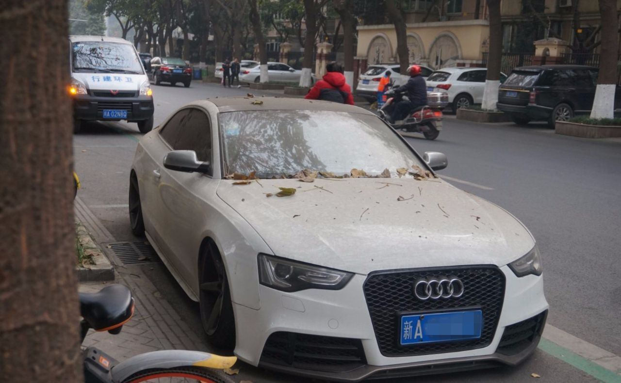 120万奥迪丢弃街头,车上比地上脏,还是乌鲁木齐的车-新浪汽车