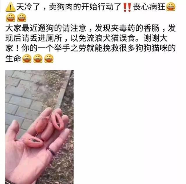 偷狗贼|狗子|金毛_新浪新闻