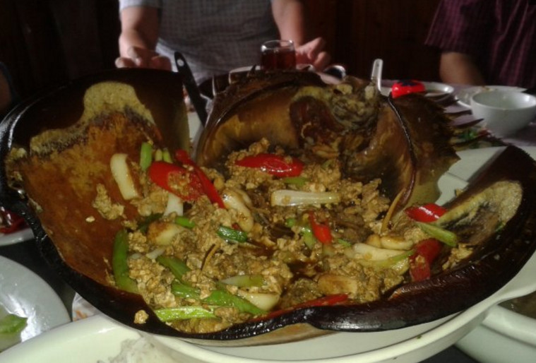 繁衍不衰,一方面是鲎自身的繁殖能力较强,另一方面因鲎肉的口感较差