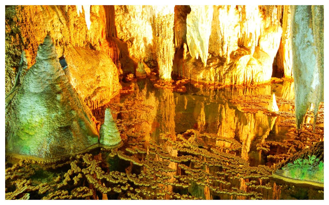 芙蓉洞,"澳大利亚洞穴协会专家盛赞"芙蓉洞美丽的棕榈状石笋,红珊瑚池