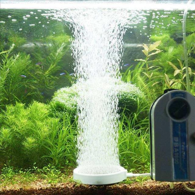 鱼缸增氧泵的使用方法,增氧泵使用的一些注意事项