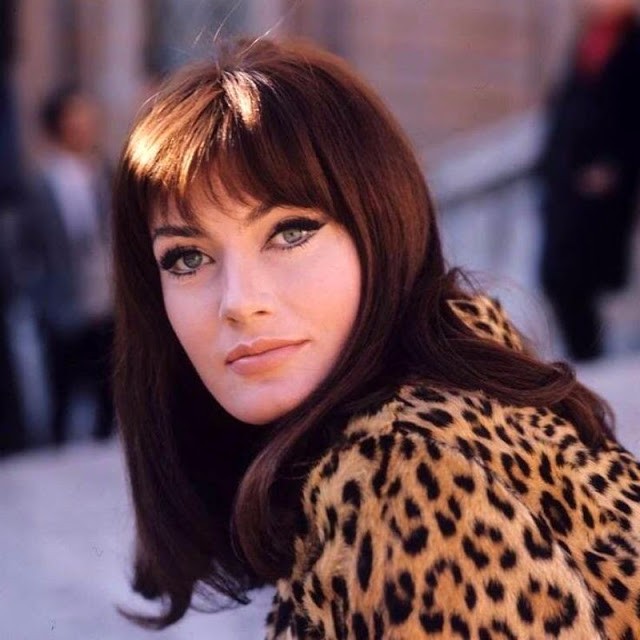 老照片:marisa mell,奥地利女演员,拍摄于 1960 年代(4)