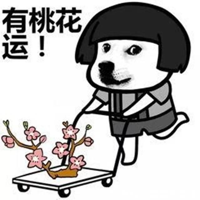 他只向初恋低头全文【相关词_他只向初恋低头小说】