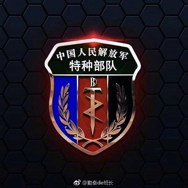 最新版部队臂章这是看到最帅气的一版给大家晒一下快点赞