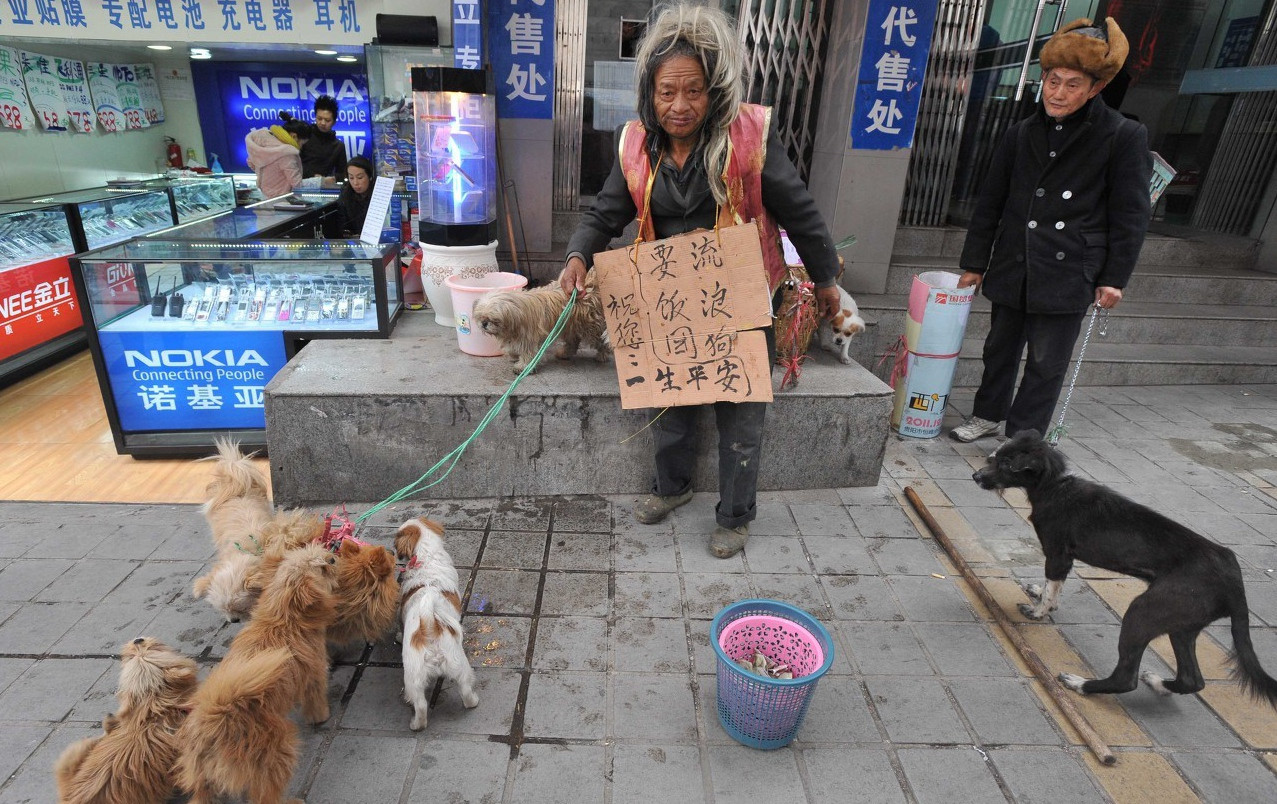 实拍乞讨者和他们的完美装备,谁能分辨出哪位是职业"丐帮"