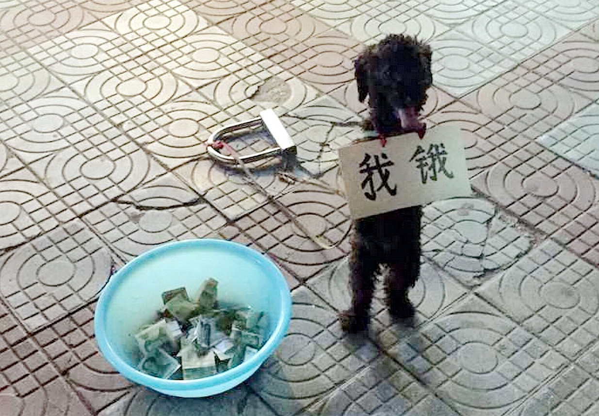 实拍乞讨者和他们的完美装备,谁能分辨出哪位是职业"丐帮"