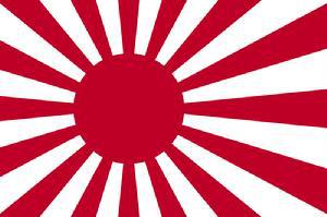 在参加一场国际海上阅兵时悬挂一面被韩国人视为帝国主义象征的旗帜