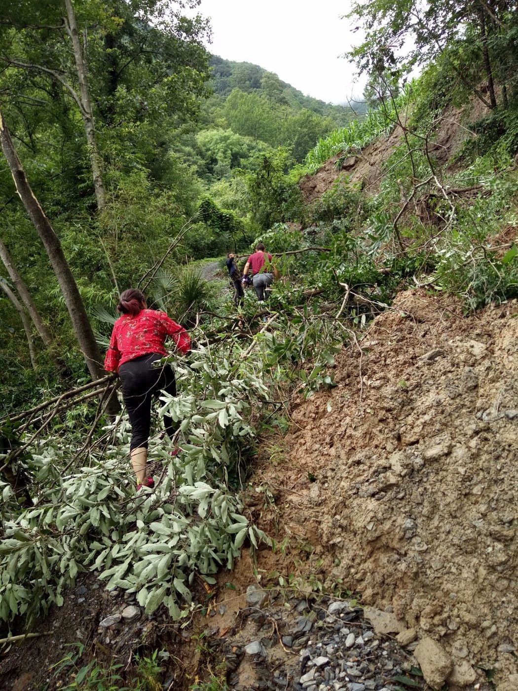 2018陕西略阳暴雨洪涝灾害纪实