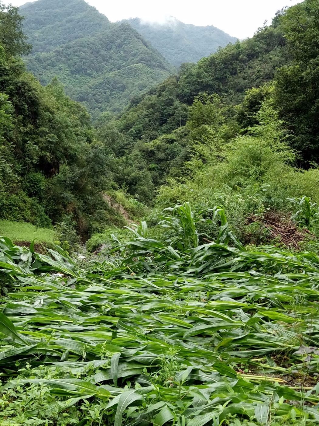 2018陕西略阳暴雨洪涝灾害纪实