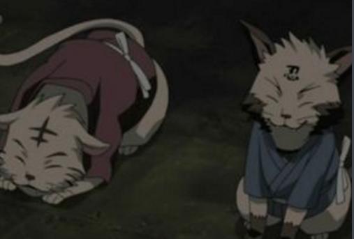 火影忍者,忍界萌宠,销声匿迹的蛤蟆龙干啥去了!