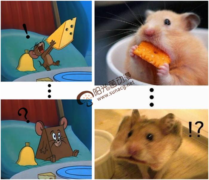 看了十几年《猫和老鼠》,有谁知道杰瑞到底是老鼠还是仓鼠?