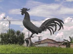 铁公鸡拔毛了!沙钢股份时隔11年终于分红,每股分三分钱